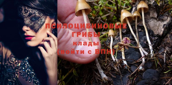 COCAINE Богданович
