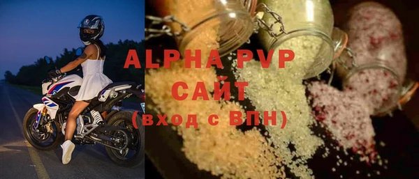 прущие грибы Богородск