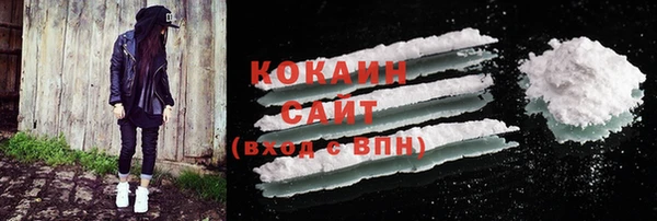 амф Бородино