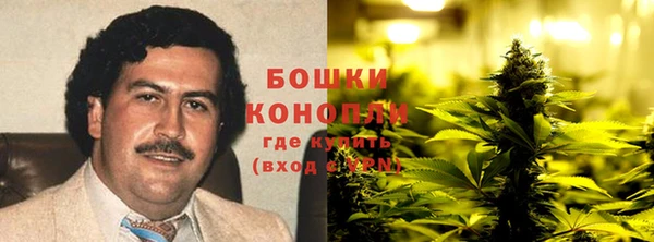 прущие грибы Богородск