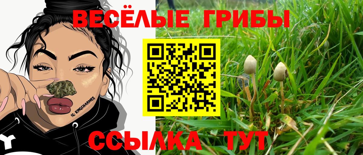Псилоцибиновые грибы Psilocybine cubensis  Вход с VPN  Обь 